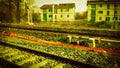 railway tracks in suburban scene vintage retro Royalty Free Stock Photo