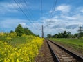 Railway tracks among yellow fields, country railroad