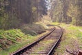 railway - the train tracks wind around curves through the forest Royalty Free Stock Photo