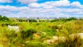 Railway Truss Bridge over the Sabie River at Skukuza Rest Camp in Kruger National Park Royalty Free Stock Photo