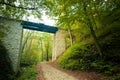 Railway viaduct in forest