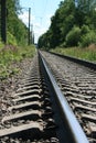 The railway, which passes through the forest.