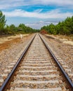 Railway in the wild perspective