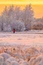 Railway worker on the background of winter forest in Central Russia.