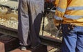 Railway workers bolting track rail. Royalty Free Stock Photo