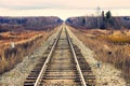 Railway in yellow autumn forest Royalty Free Stock Photo