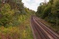 Railways leading through a German forest