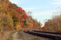 Railways and magical autumn forest Royalty Free Stock Photo