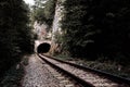 Railways in the mountains Royalty Free Stock Photo