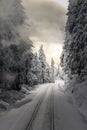 Railways in the snowy forest at sunset Royalty Free Stock Photo