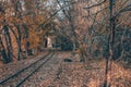 Railways trains pass through a tunnel in the forest. Railways in the forest Royalty Free Stock Photo