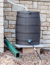 Rain Barrel