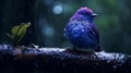 Rain Bird Hd Wallpaper: Beautiful Nature Inspired Art With Dark Violet And Light Cyan