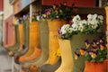 Rain Boots Royalty Free Stock Photo