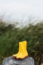 rain boots Royalty Free Stock Photo
