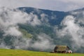 After the rain in Cindrel mountains