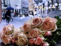 Rain in city people walk with umbrellas pink roses on cafe table street pink roses on cafe table in Tallinn old town Travel Estoni Royalty Free Stock Photo