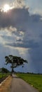 Rain cloud on the fields shed a beautiful light