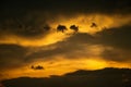 Rain cloud with golden sky Royalty Free Stock Photo