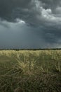 Rain cloud over Africa landscape, Serengeti