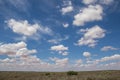 Clouds build up over the green kalahari