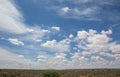 Clouds build up over the green kalahari