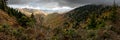 Rain Clouds Gater Over Gnarly Bushes Overlook Fall Colors Royalty Free Stock Photo