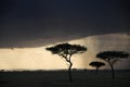 Rain clouds gather at sunset in Tanzania, Africa Royalty Free Stock Photo