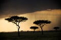 Rain clouds gather at sunset in Tanzania, Africa Royalty Free Stock Photo