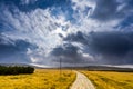 Rain clouds gathering at the hiking path between vast yellow grass field Royalty Free Stock Photo