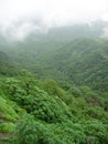 Rain clouds over forest Royalty Free Stock Photo