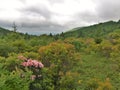 Rain Clouds over Grayson Highlands State Park Royalty Free Stock Photo