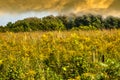 Rain Clouds Forming Over Iowa Country Side Royalty Free Stock Photo