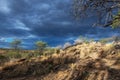 Rain clouds over the Khomas Highlands, Namibia Royalty Free Stock Photo