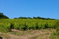 Rain clouds over mountains and a valley with a green vineyard Royalty Free Stock Photo