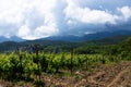 Rain clouds over mountains and a valley with a green vineyard Royalty Free Stock Photo