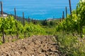 Rain clouds over mountains and a valley with a green vineyard Royalty Free Stock Photo