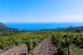 Rain clouds over mountains and a valley with a green vineyard Royalty Free Stock Photo