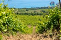 Rain clouds over mountains and a valley with a green vineyard Royalty Free Stock Photo