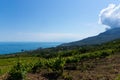 Rain clouds over mountains and a valley with a green vineyard Royalty Free Stock Photo