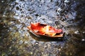 Rain concept in city: yellowed leaf floats in a wooden boat through a puddle of rain water on the asphalt, raindrops