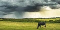 Rain in the countryside, spring day, summer afternoon