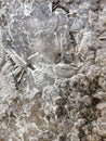 After rain create low temperature ice crystals Royalty Free Stock Photo
