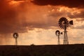 Rain in the dessert at sunset