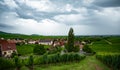 Vineyards in the village of Hunawihr in Alsace, France. Royalty Free Stock Photo