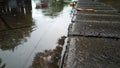 Rain drizzles at day, drops fall and splash, pavement is filled with water, grainy texture of water