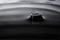 Rain drop splash on asphalt closeup macro shot Royalty Free Stock Photo