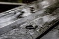 Rain drop splash in wooden floor bouncing and shaping a water crown Royalty Free Stock Photo