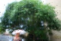 Rain drop on window glass with blur tree background. Royalty Free Stock Photo