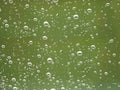 Rain droplets Royalty Free Stock Photo